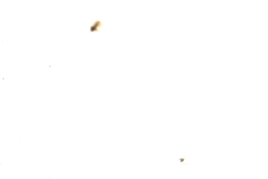 Image 180